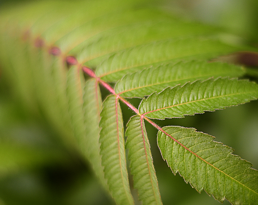 4711 KA7_3552-1 Kopie.jpg